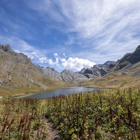 Randonnée Lac du Lauzanier - Randonnée Lac du Lauzanier