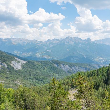 GR®56 - Etape 9 : Refuge de La Pare - La Fresquière/Méolans - Point de vue depuis la forêt de la Pare GR®56 - Etape 9 : Refuge de La Pare - La Fresquière/Méolans - Point de vue depuis la forêt de la Pare