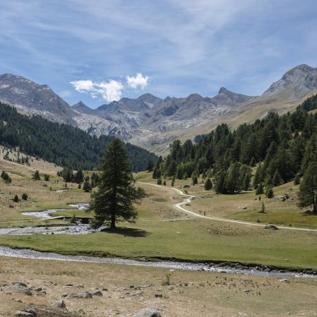 Sentier du Lauzanier - Sentier du Lauzanier