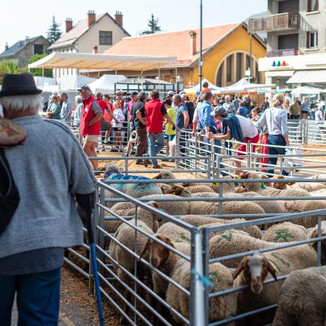 Foire de la Saint-Michel à Barcelonnette - Foire de la Saint-Michel à Barcelonnette