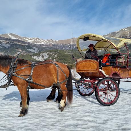 Balade en calèche - Balade en calèche