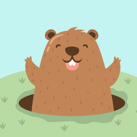 Marmotte Stories - Marmotte Stories