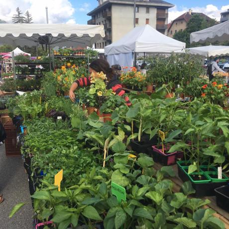 Foire aux plants de Barcelonnette - Foire aux plants de Barcelonnette