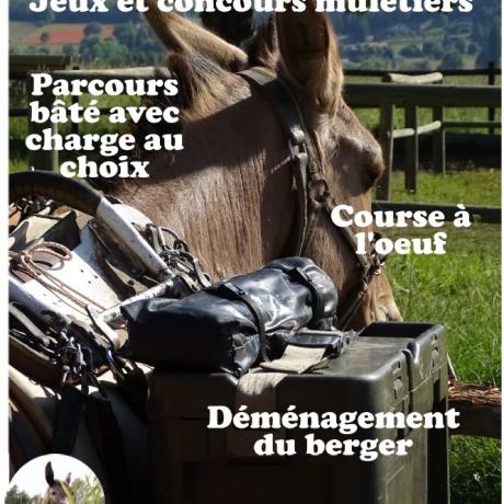 Mules en Seyne, jeux et concours muletiers_Seyne - Affiche