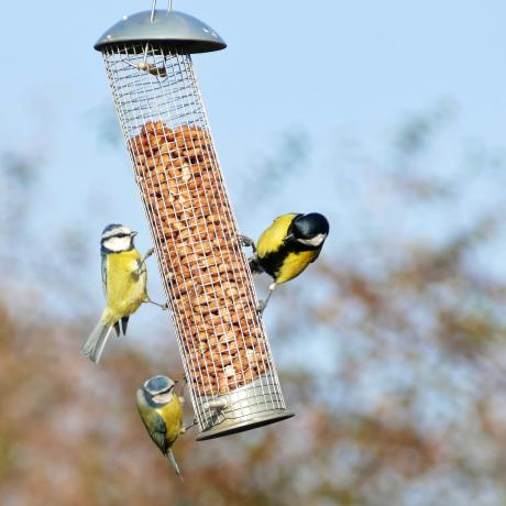 Atelier - Gîtes et mangeoires_Thoard - Image de mangeoire pour oiseaux