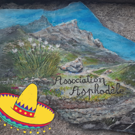 Asphodèle repas mexicain