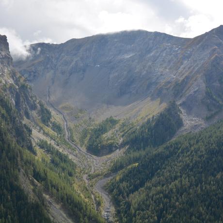 Conférence : Histoire de la forêt de la Tellière_Uvernet-Fours