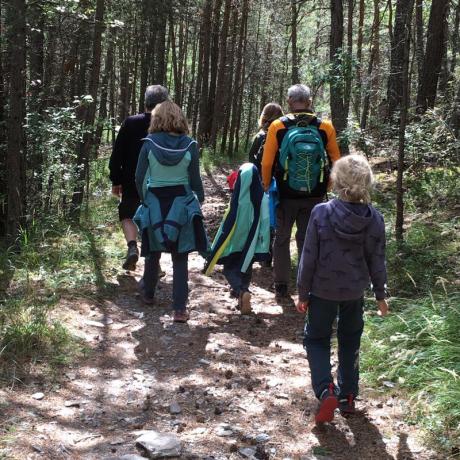 Randonnée en forêt - Randonnée en forêt
