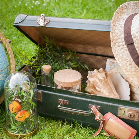LPOP_Valise