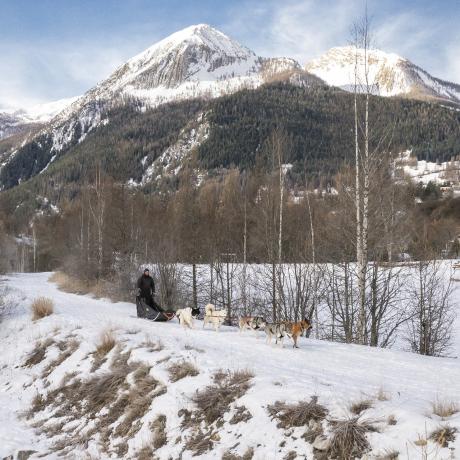 Journée découverte du site multi-activités de Saint-Paul - Baptême en chiens de traîneau sur le site multi-activités de Saint-Paul