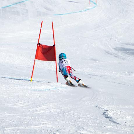 Les Écureuils d'Or - Le Sauze