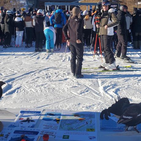 Sensibilisation à la faune sauvage et au risque avalanche - Sainte-Anne - Sensibilisation à la faune sauvage et au risque avalanche