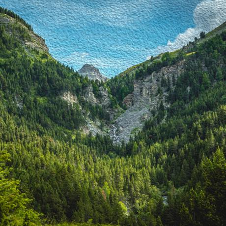 Exposition Les arbres en couleurs – Sous les branches de l’art