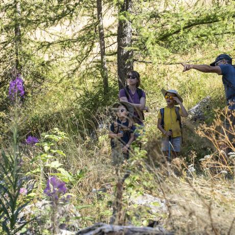 Chasse aux trésors de l'Ubaye - Le Sauze 1700