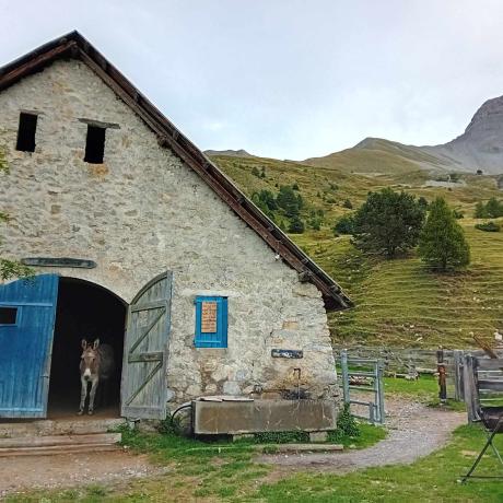 Concert à la cabane des Mulets_Seyne - cabane des Mulet