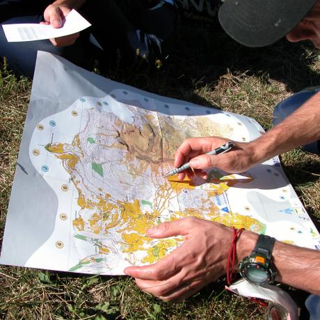 Carte - Course d'orientation
