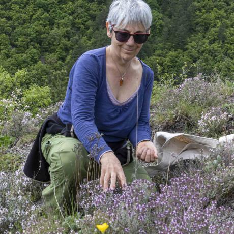 Balade découverte les plantes médicinales à Seyne - Christine Bonnat