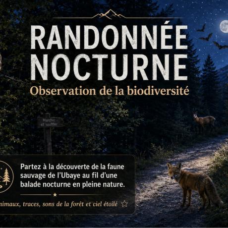 Festival Astro Loup - Randonnée nocturne_Pra Loup 1600 - Randonnée nocturne