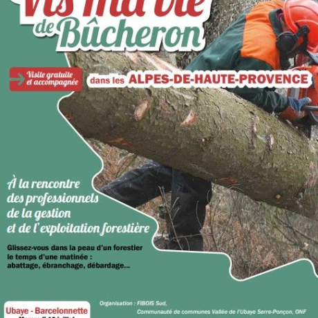 Bucheron Bucheron
