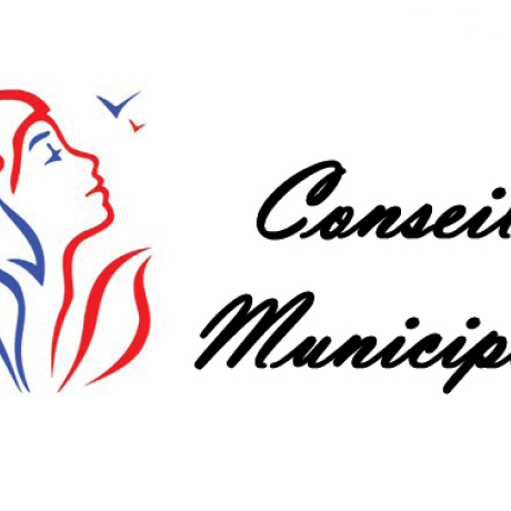 Conseil municipal Conseil municipal