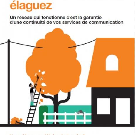 Elaguez