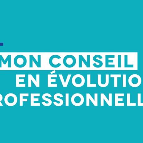 evolution_professionnelle