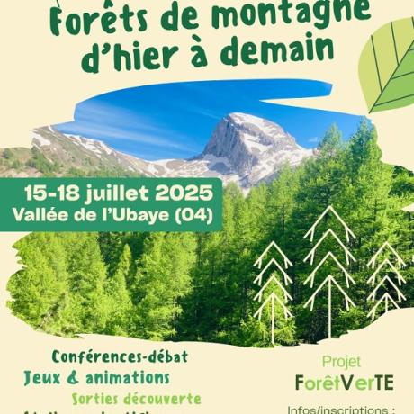 Forêts de montagne Forêts de montagne