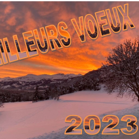 Voeux 2023