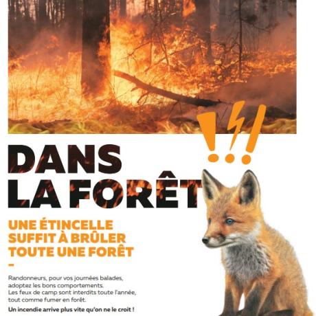 Prévention feux de forêt