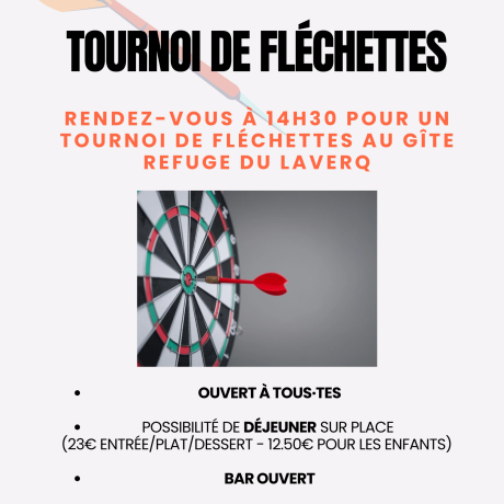 AFFICHE FLECHETTES