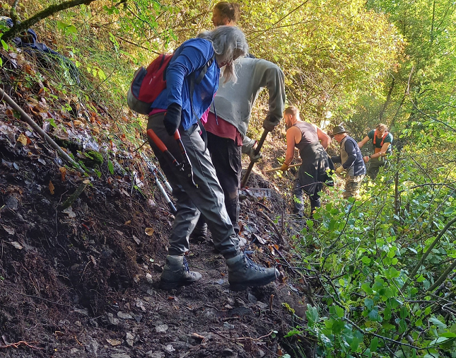 Chantier participatif
