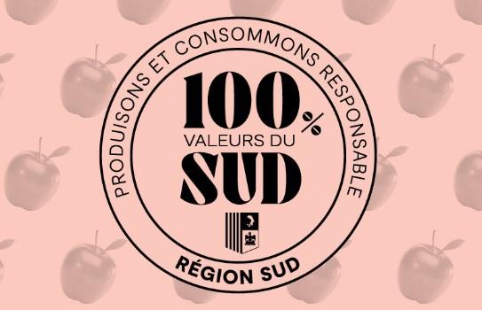 région sud