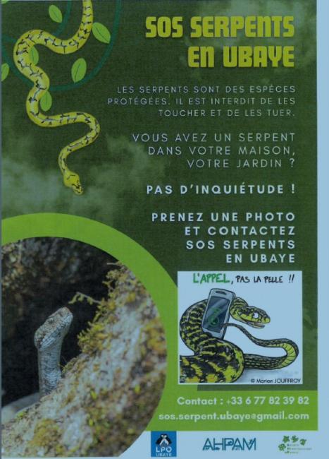 SOS serpents en Ubaye