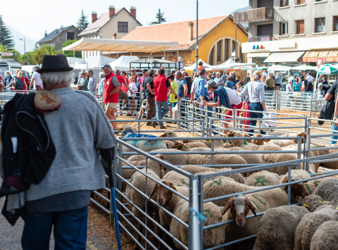Foire 2025
