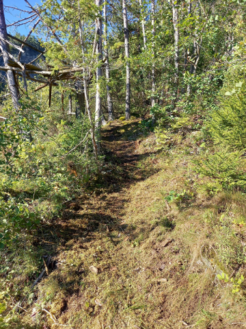 Sentier