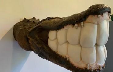 Sourire et crocodilien